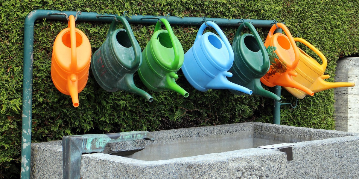 Watering cans hanging over a water butt